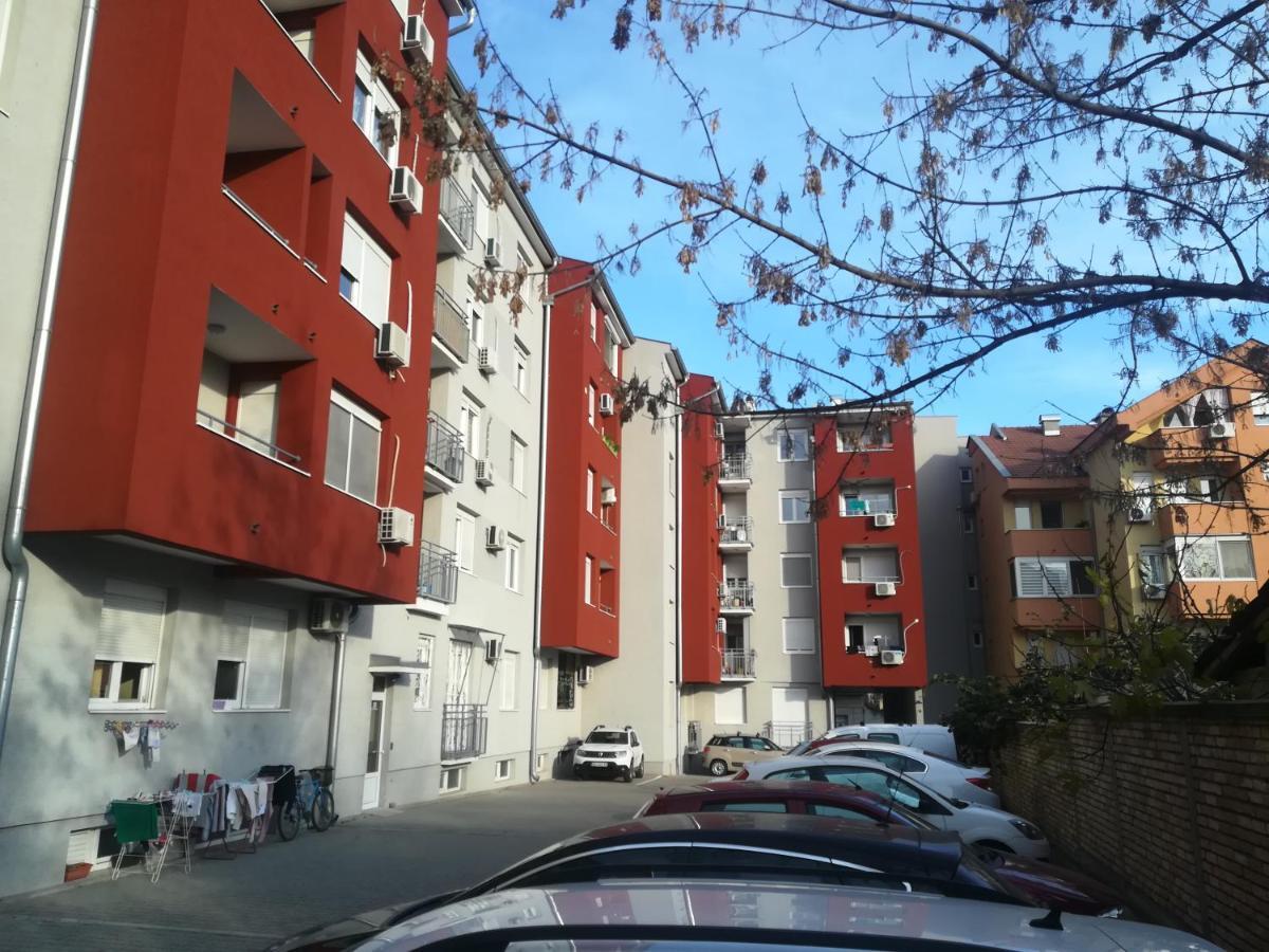 Paris Apartment -Free Private Parking ノヴィ・サド エクステリア 写真