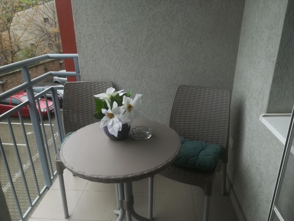 Paris Apartment -Free Private Parking ノヴィ・サド エクステリア 写真